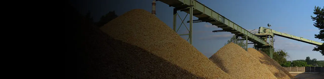Banner pulp paper 1 Banner pulp paper 1