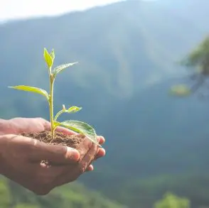 Declaración de política medioambiental