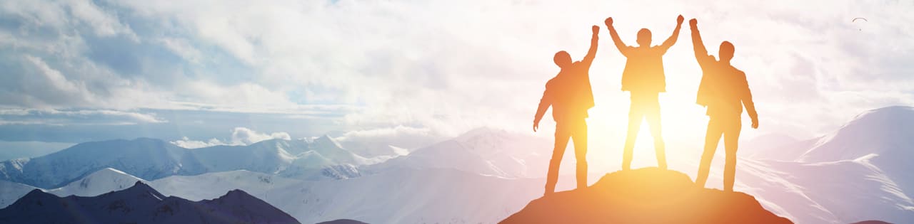 meet the team banner 1