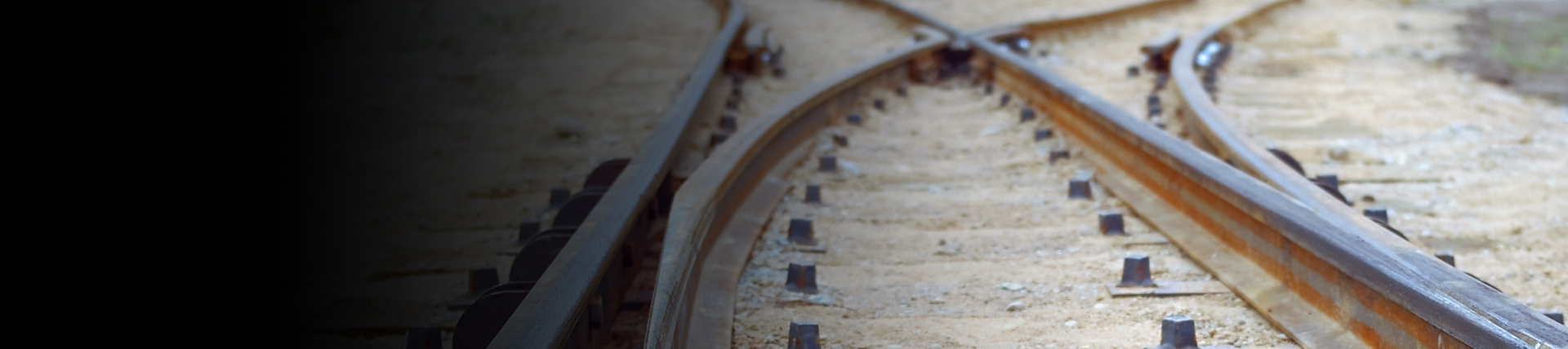 Jacarés e cruzamentos